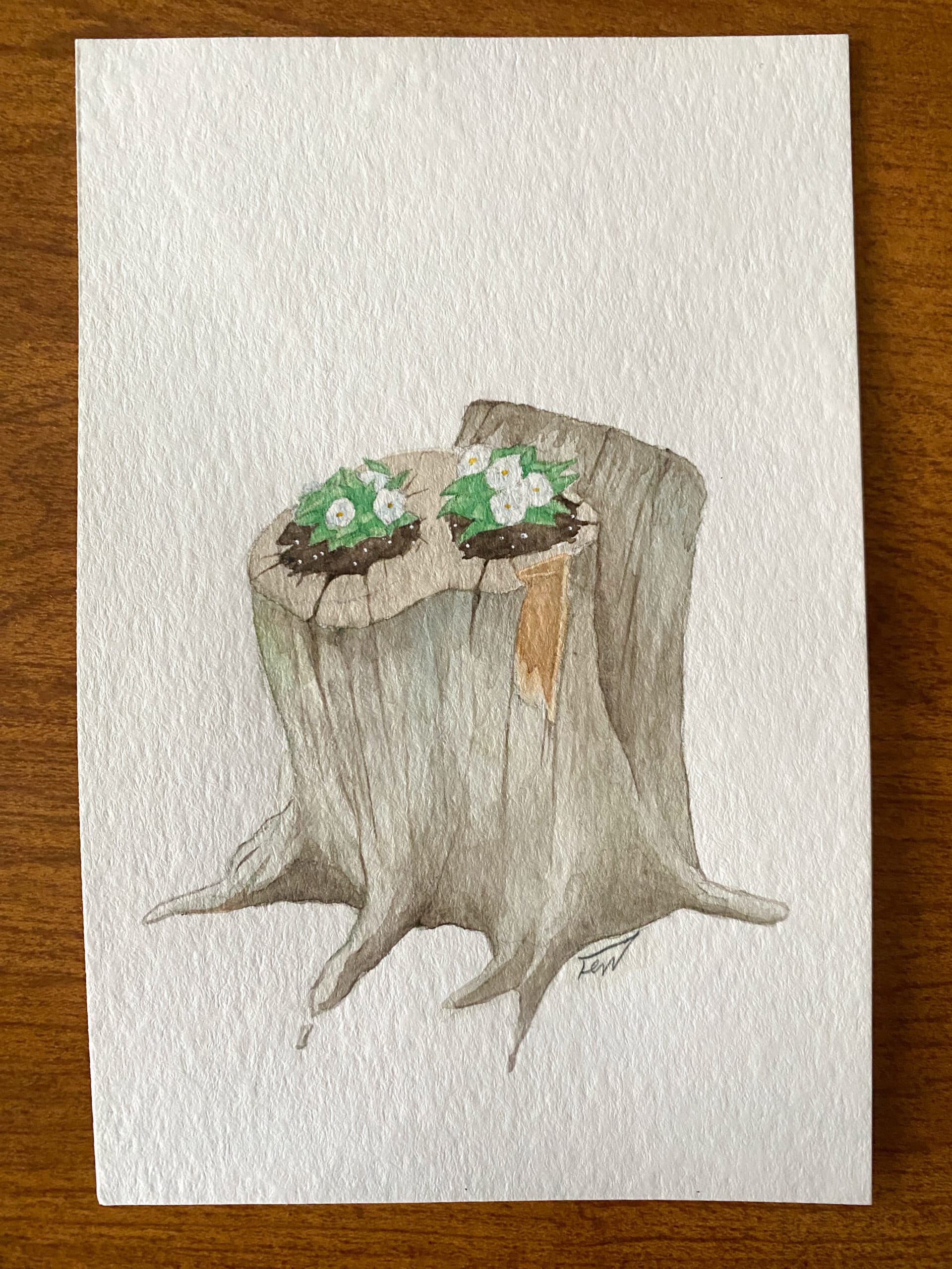 Regrowth