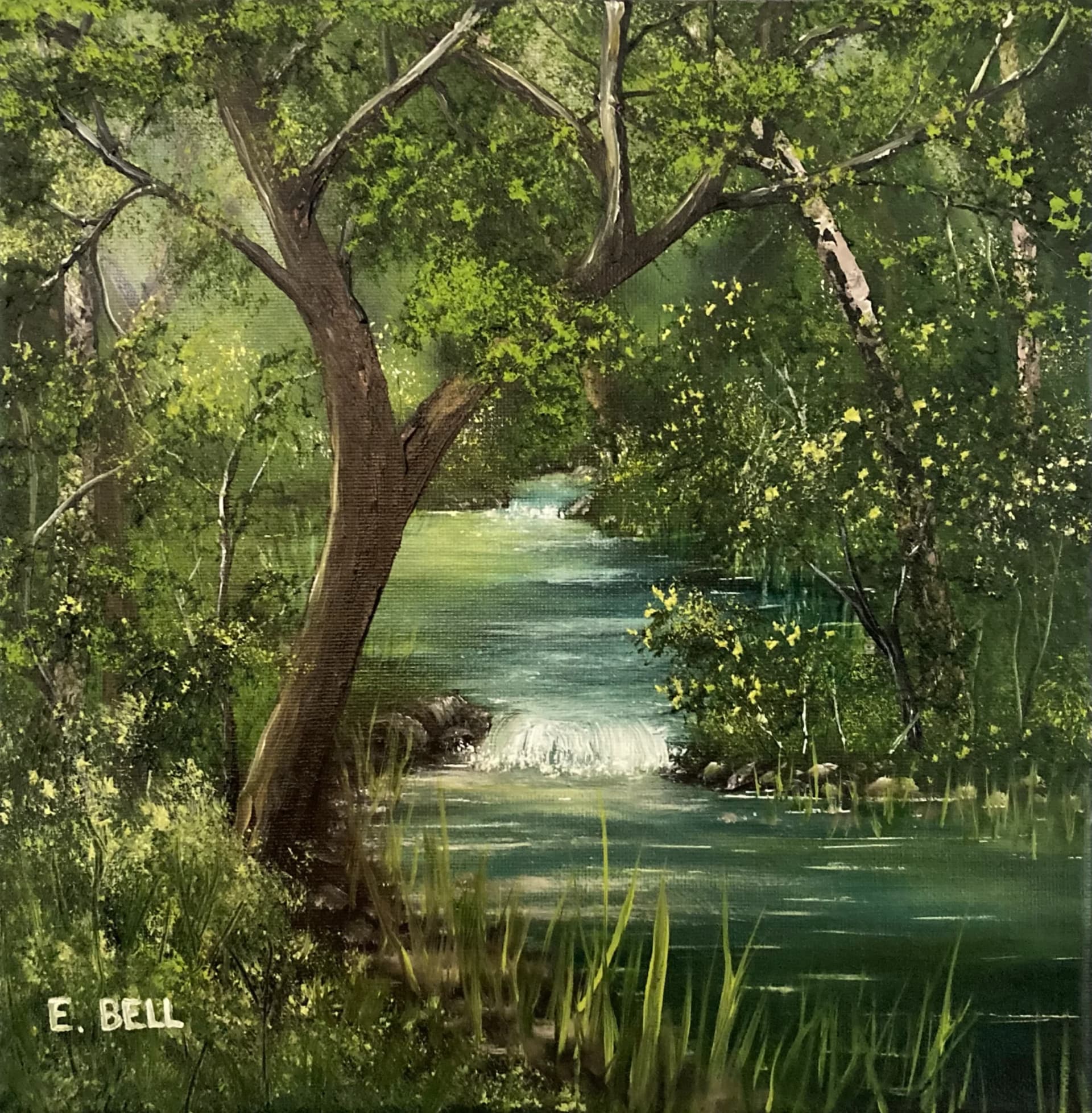 Erin Bell Gallery
