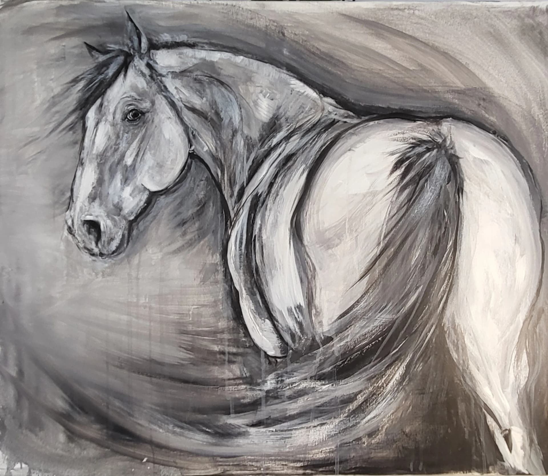 Artiste equine